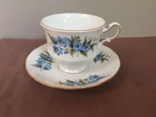 Queen Anne Bone China Teacup And Saucer With Pink Flowers