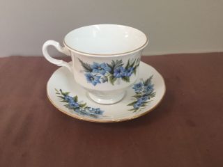 Queen Anne Bone China Teacup And Saucer With Pink Flowers 2