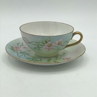 Antique Tea Cup And Saucer Hand Painted And Unmarked Floral Pattern