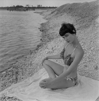 Vintage Bunny Yeager Camera Negative Pin - Up Sultry Bikini Model Dondi Penn