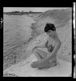 Vintage Bunny Yeager Camera Negative Pin - up Sultry Bikini Model Dondi Penn 2