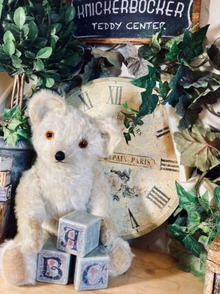 18” Antique 1930s Knickerbocker White Mohair Teddy Bear With Squeaker