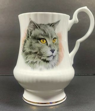 Royal Windsor Fine Bone China Cat Pedestal Tea Cup England Vintage