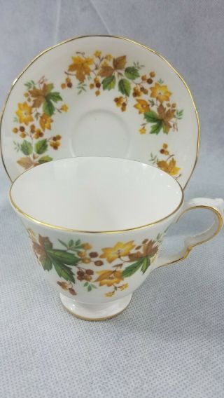 C) Queen Anne England 8606 Medina Autumn Leaves 2 3/4 " Cup And Saucer Set
