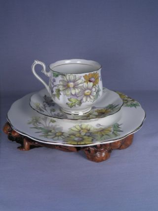 3 Piece Royal Albert Tea Cup,  Plate Set Flower Of The Month Daisy Hard - To - Find