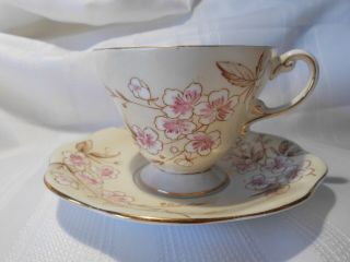 Vintage Eb 1850 Foley Bone China Footed Tea Cup And Saucer Spring Blossom