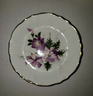 Royal Windsor Fine Bone China Flower Butter Pat Violets (8/0x75g)