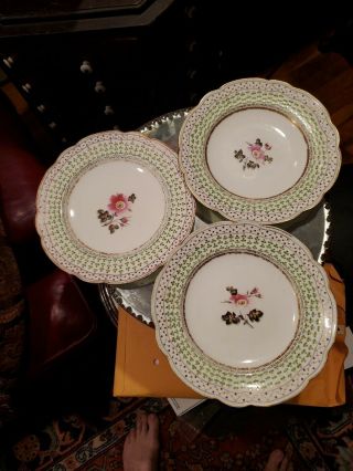 Antique 19th Century English Porcelain Botanical Dishes (3)