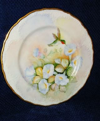 Vintage Hand Painted Porcelain 9 " Plate Flowers Hummingbird Signed A.  C.  Simms