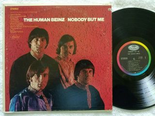 The Human Beinz Nobody But Me Lp 1968 U.  S.  Capitol First Press Fantastic Nm Disc