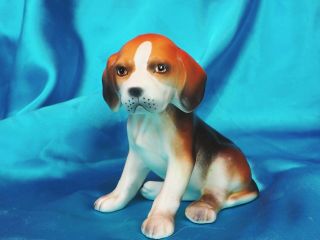 Vintage Porcelain Beagle Puppy Dog Hunting Sporting