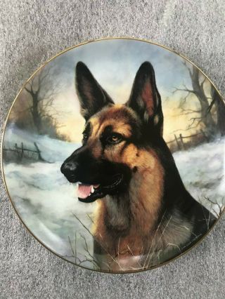 German Shepherd " A Winter Friend " Plate By John Lewis Fitzgerald Danbury