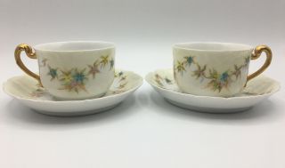 Set Of 2 Antique T & V Limoges France Tea Cup & Saucer Painted Flowers