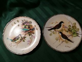Vintage Hand Painted Enesco Bird Plates Signed