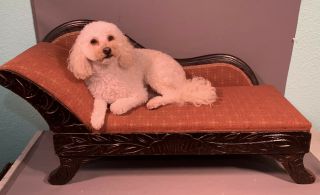 19thc Antique Victorian Childrens Child Size Fainting Couch Dog / Cat Bed Sofa