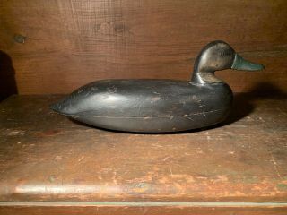 Hollow - Carved Black Duck Decoy By Calvin Hickman,  Port Republic,  Nj C.  1890