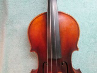 Vintage Salvadore De Durro Full Size Stradivarius Violin 3