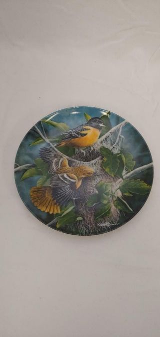 Knowles Collector Plate " The Baltimore Oriole " By Kevin Daniel 1985