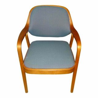 Vintage Don Petitt Knoll Mid - Century Modern Bentwood Chair -