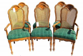 Vintage Walnut Burl Ivy Damask Upholstered Cane Back Dining Chairs - Set Of Six