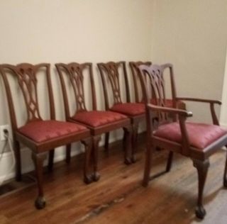 Early 1900s Potthast Bros Chippendale Mahogany Ball and Claw Foot Dining Chairs 2