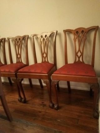 Early 1900s Potthast Bros Chippendale Mahogany Ball and Claw Foot Dining Chairs 3