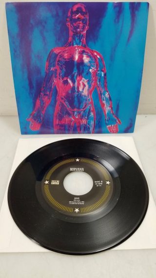 Nirvana Sliver B/w Dive Sub Pop 7 " Vinyl 45rpm Record 1990 Cat Sp 73