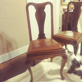 Queen Anne 19th Century Dining Chairs - Set Of 8