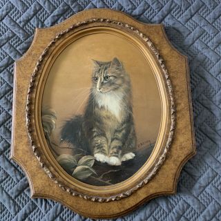 Vintage Oil Painting Of A Cat Framed & Signed By Artist R.  Steffa