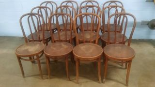 Set Of 12 Thonet Antique Bentwood Chairs / Some With Factory Labels
