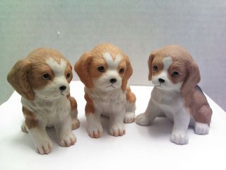 Vintage Homco Puppy Dogs 8828 Porcelain Figurines - 2.  5 " Tall Set Of 3