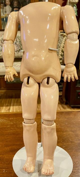 15 " Rare Size Antique Kestner Fully Jointed Marked Doll Body