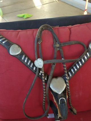 Vintage circle y silver laced bridle and matching breast collar 2