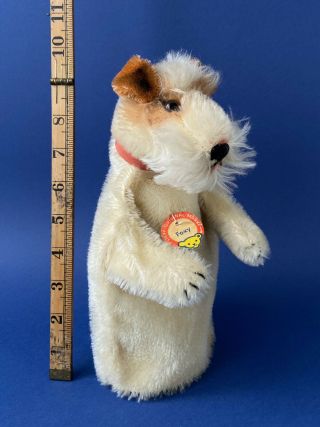 Rare STEIFF Fox Terrier Dog Hand Puppet 1951 - 58 ALL IDs Early model 317 Toy 2