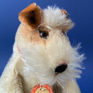Rare STEIFF Fox Terrier Dog Hand Puppet 1951 - 58 ALL IDs Early model 317 Toy 3
