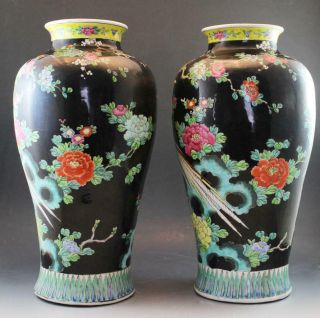Vintage Pair Chinese Porcelain Floor Vases Black w/ Phoenix Birds & Flowers 3