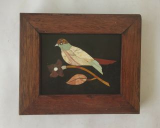 Handmade Colorful Bird Inlayed On Marble Pietra Dura Plaque Micro Mosaic 07
