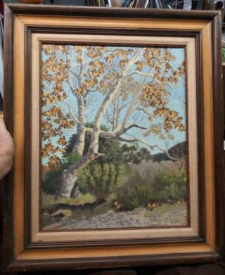 Vintage Oil Painting By Constance Jackson Sycamore Canyon Az Western American