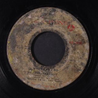 Tartans: Dance All Night / What Can I Do 45 (jamaica,  Badly Label)
