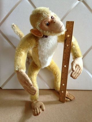 Vintage Golden & White Mohair Curious Monkey From The Steiff Ff Button Era