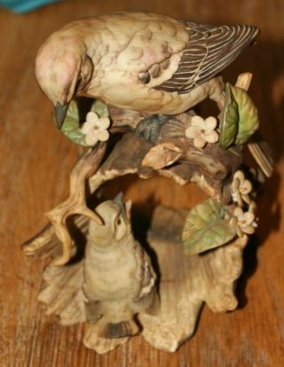 Vintage Homco Masterpiece Porcelain Mockingbird And Baby Bird Figurine Flowers
