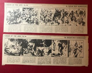 Tarzan Of The Apes Hal Foster 13 Daily Newspaper Comic Strips 1929