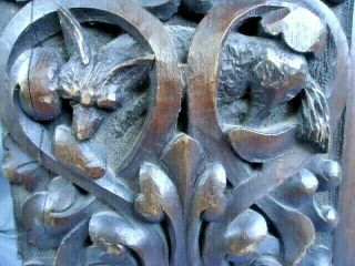 Rare 18th /19th Century Oak Carved Wolf Looking Down Scrolling Leaves Panel