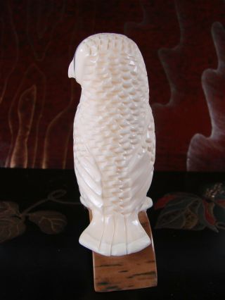 Thomas Antoghame Vintage Inuit Fossilized Marine Tusk Owl Carving Sculpture 2