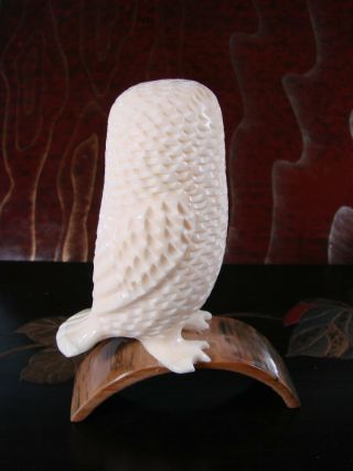 Thomas Antoghame Vintage Inuit Fossilized Marine Tusk Owl Carving Sculpture 3