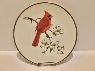 Vintage Avon Red Cardinal Collector 