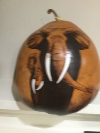 Xl 13” X 14” Hand Painted Signed Gourd African Elephant Family Display Art Vtg
