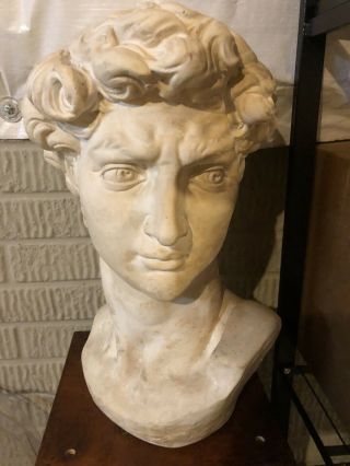 Antique Roman David Restoration Hardware Style Bust