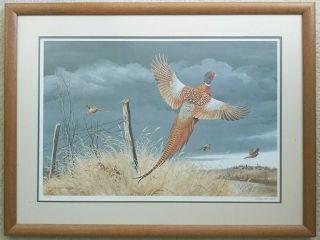 Vintage Maynard Reece 1983 Signed And Numbered Print Of Stormy Day Pheasants