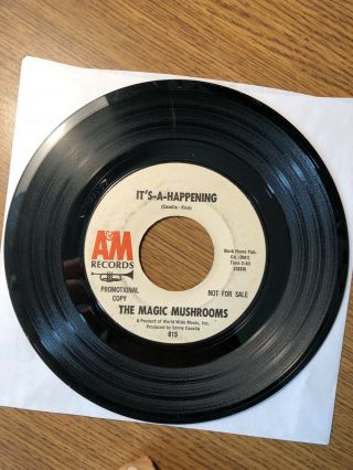 Magic Mushrooms 45 It’s A Happening 1966 Garage Psych Fuzz Promo Psychedelic
